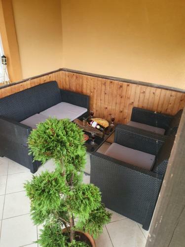 Apartment At Tony