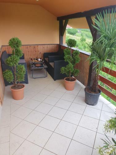 Apartment At Tony