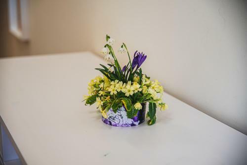 Hostal Farm Stay ?urej