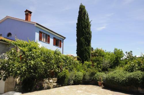 Hostal Guesthouse The Blue House
