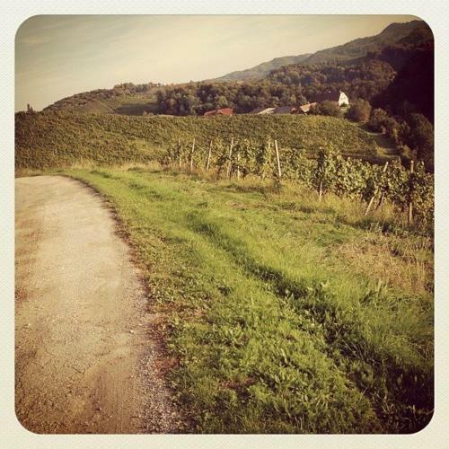 Apartamento Holiday Home Winzerhaus Eva