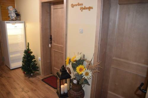 Agroturismo Farm Stay "alpine Dreams"
