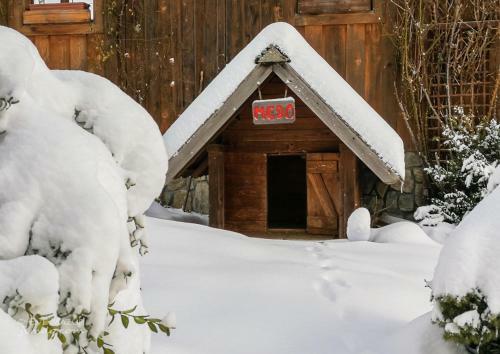 Agroturismo Farm Stay "alpine Dreams"
