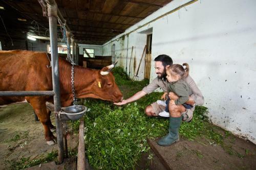 Agroturismo Kmetija Matk