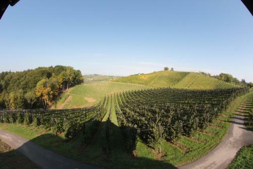 Agroturismo Vdovi? Guest House