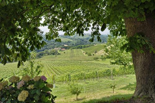 Agroturismo Farm Stay Jarc Vineyard