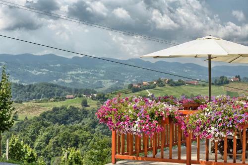 Agroturismo Farm Stay Jarc Vineyard