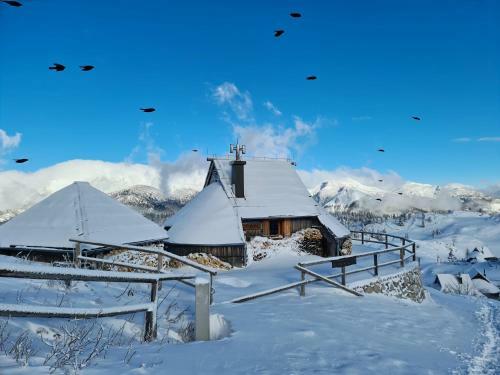 Ko?a Ojstrica - Velika Planina