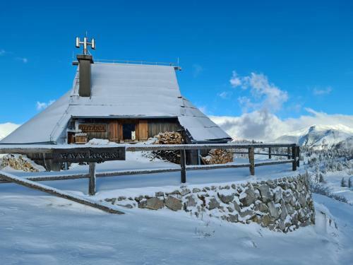 Ko?a Ojstrica - Velika Planina