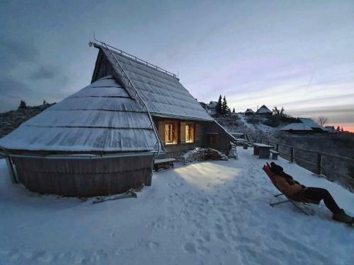 Ko?a Ojstrica - Velika Planina