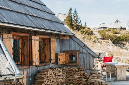 Ko?a Ojstrica - Velika Planina