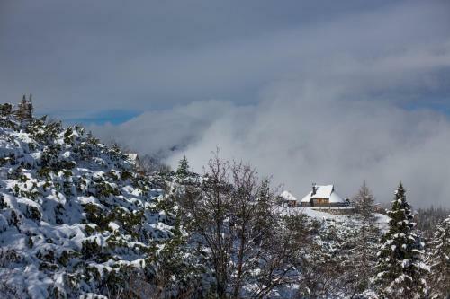 Ko?a Ojstrica - Velika Planina