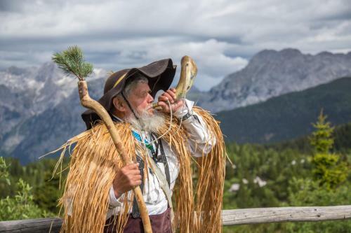 Ko?a Ojstrica - Velika Planina