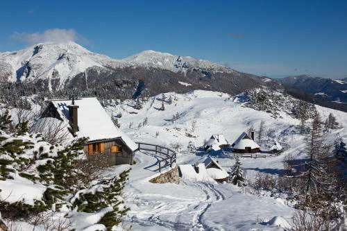 Ko?a Ojstrica - Velika Planina