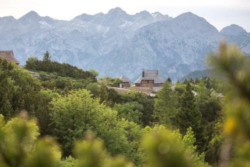 Ko?a Ojstrica - Velika Planina