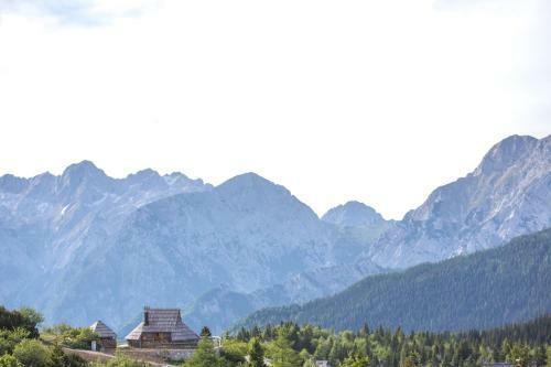 Ko?a Ojstrica - Velika Planina