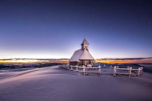 Ko?a Ojstrica - Velika Planina