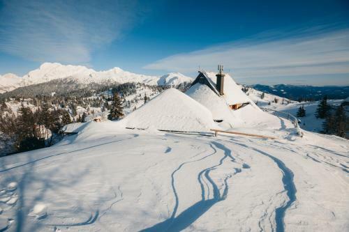 Ko?a Ojstrica - Velika Planina