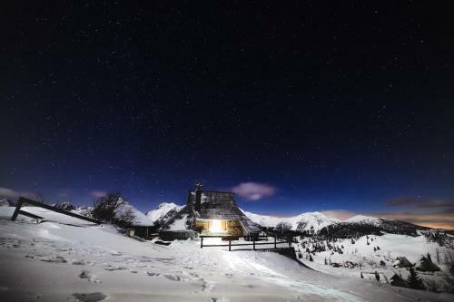 Ko?a Ojstrica - Velika Planina