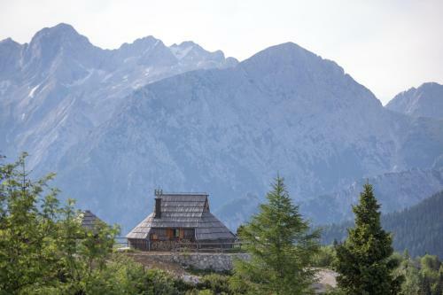 Ko?a Ojstrica - Velika Planina