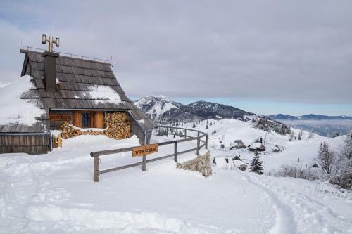 Ko?a Ojstrica - Velika Planina
