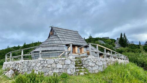 Ko?a Ojstrica - Velika Planina