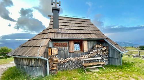 Ko?a Ojstrica - Velika Planina