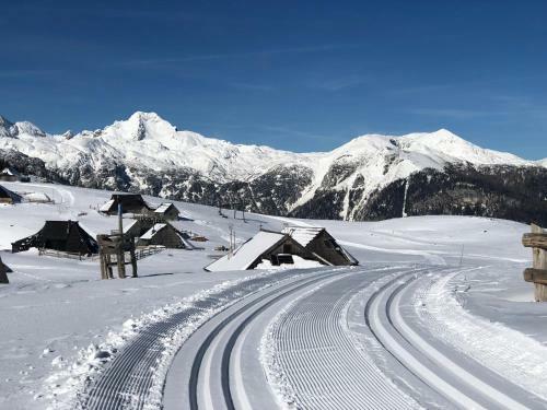 Ko?a Ojstrica - Velika Planina