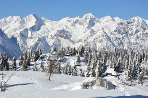 Ko?a Ojstrica - Velika Planina