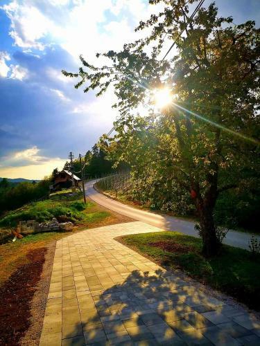 Vineyard Cottage Matej