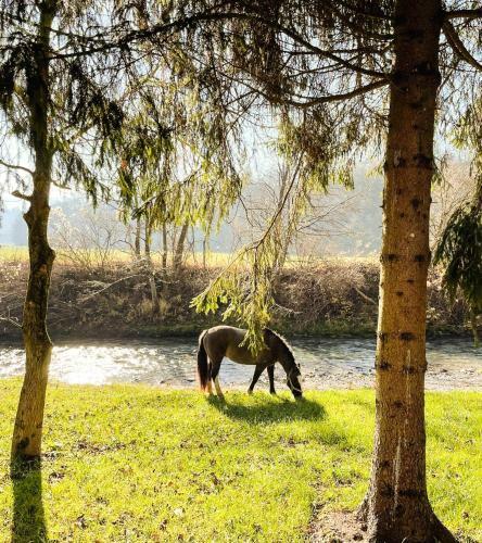 Ran? Mackadam Ranch Mackadam