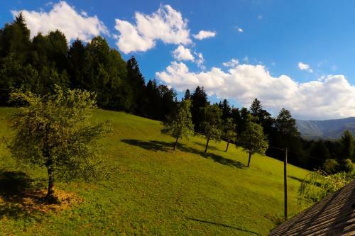 Apartment Organic Farm Hvadnik