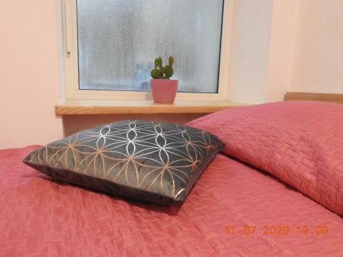 Apartma Ada