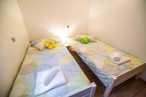 Three Bedroom Apartment With Terrace Ole