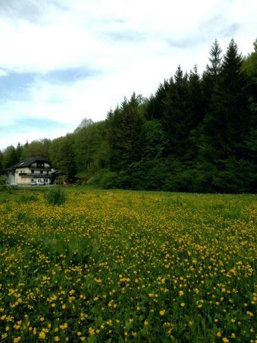 Apartamento The Bears Lair