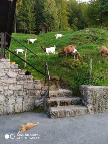 Apartamento Heron's Nest