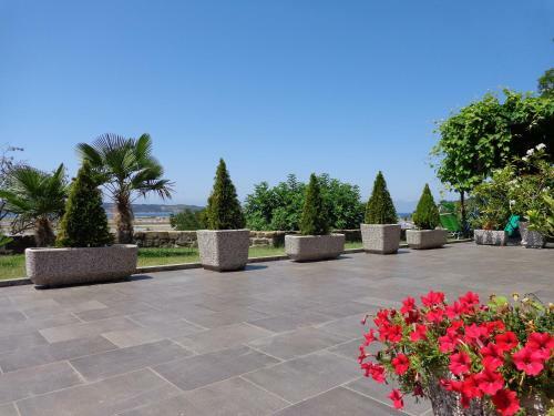 Villa Saline Apartments Portoro?