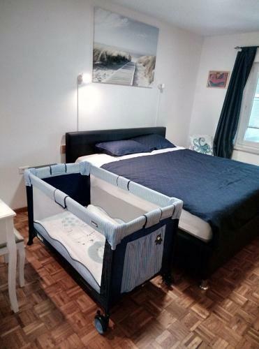 Apartma Soline Se?a
