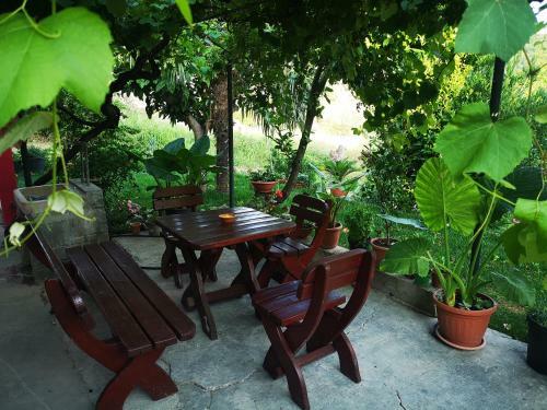Apartments Franca