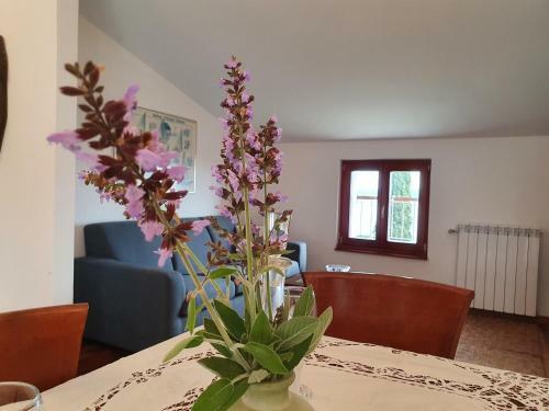 Apartamento Vila Rosa