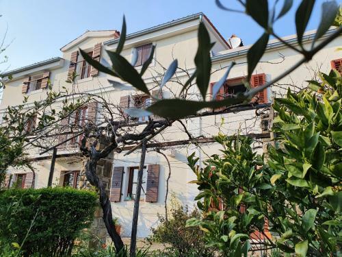 Apartamento Vila Rosa