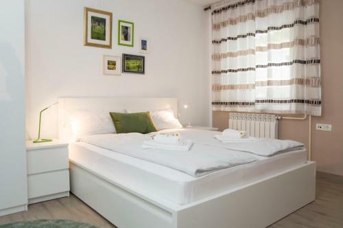 Apartment Vidus Wine Estate
