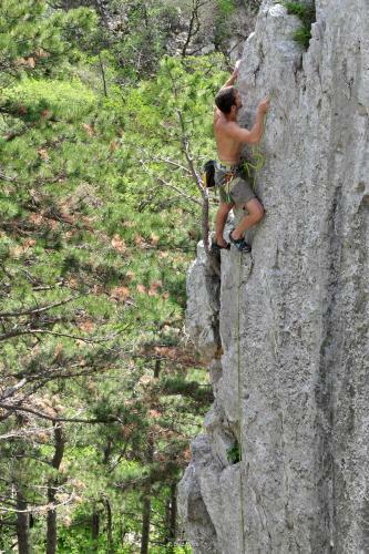 Apartment Vidus Wine Estate