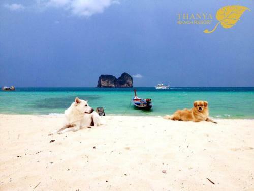 Hotel Thanya Beach Resort