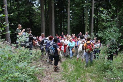 Apartments Pri Marjetki