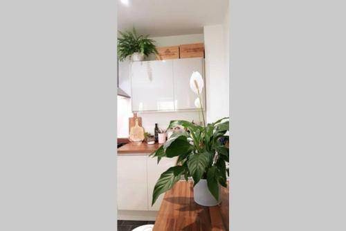 City Centre Boutique Apartment