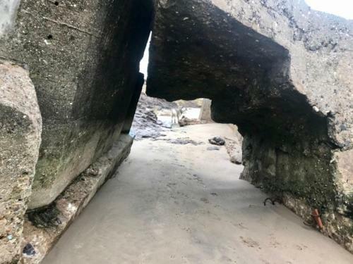 The Sun Trap @ Bridlington's Bed & Bowl Beach Breaks