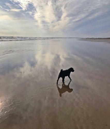 The Sun Trap @ Bridlington's Bed & Bowl Beach Breaks