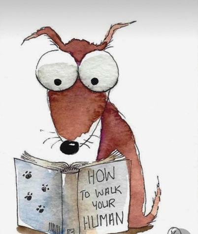 The Sun Trap @ Bridlington's Bed & Bowl Beach Breaks