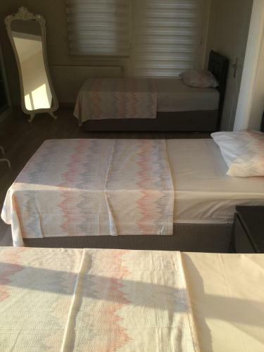 Villa R�zgarg�l� Wind Rose